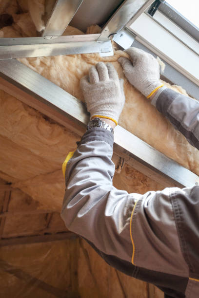 Best Geographic-Specific Insulation Services in Skagway, AK