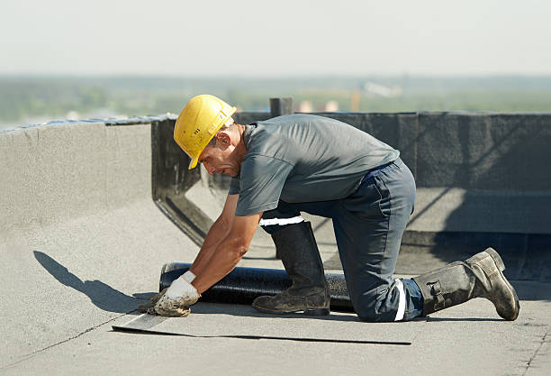 Best Cellulose Insulation in Skagway, AK