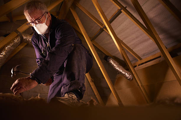 Best Spray Foam Insulation in Skagway, AK